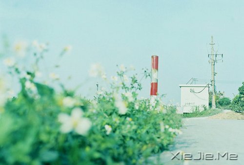 û�й���ȥ�����飬ֻ�й���ȥ������ (8)