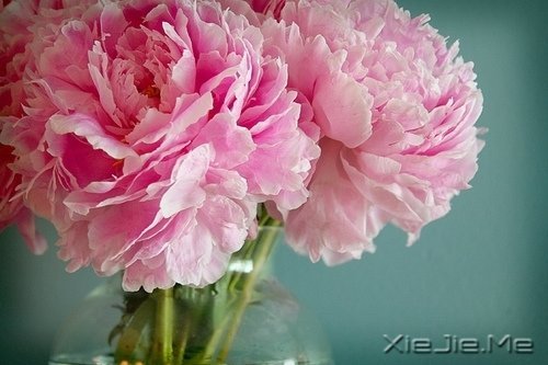 ��һ�����ɣ�ȥ�������� (3)