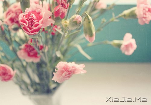 ÿ���˶����Լ�����������ů��֪ (7)