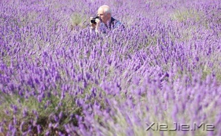 Ҫ��������룬��Ϊ�Լ����� (3)