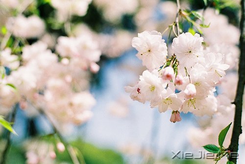 活得平和,才能在心里装下满满的幸福 (4)