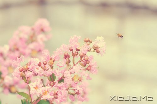 ��Ҫ���ű��˵Ľ�ӡ�����Լ���· (1)