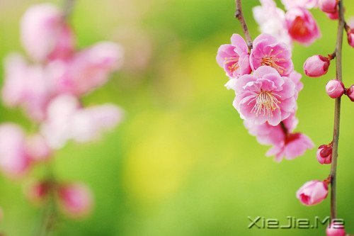 �ܶ�������Ƕ�����֪����ȴ������ (4)