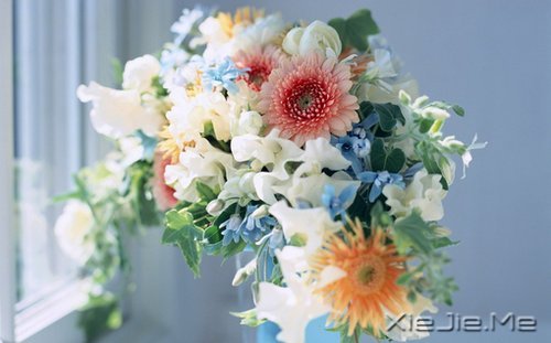 �簲���ǳǳ���������� (5)