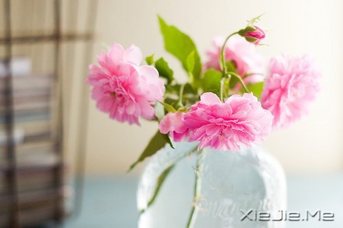 幸福,就是春夏秋冬,悠然自在 (5)