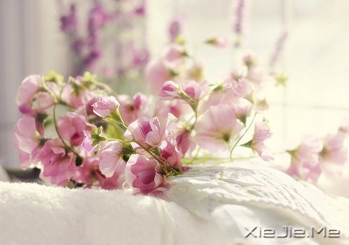 �簲����໰�Ȼ��Ըɾ�һǧ�� (5)