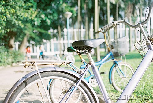 晚安心语:静守时光,以待流年 (4)