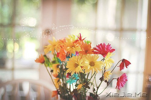 晚安心语:找到完美的路 (12)