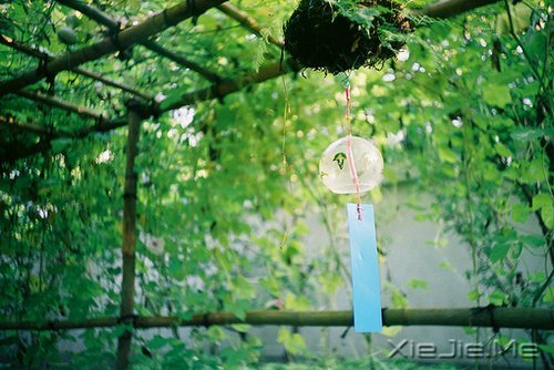 �������ʱ�䲻�����㿴͸���ˣ�Ҳ���������Լ� (8)