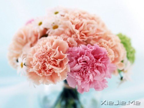 �簲�������ĺ�����ǳǳ��΢Ц (4)