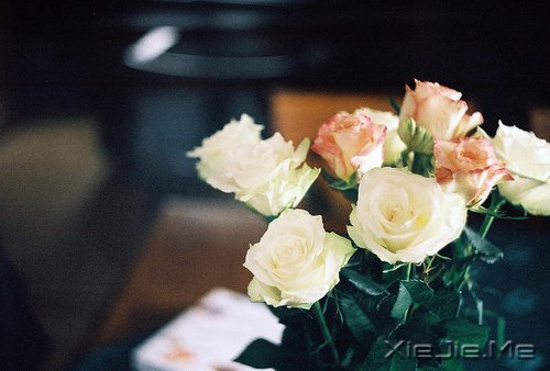 晚安心语:把生活转个身,重新开始 (6)