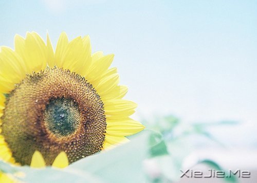 ������������������ǵ�Ȼ (4)