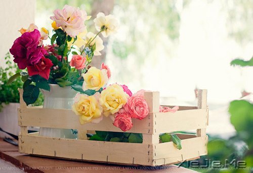 ��������������ˣ��������� (3)