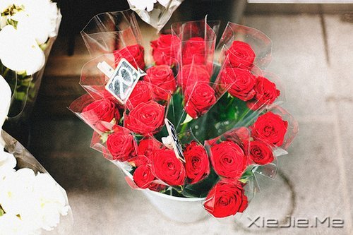 ����������ı���Ⱦ���ľ���Ȼ�� (9)