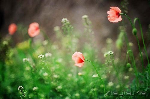 �������������������������� (5)