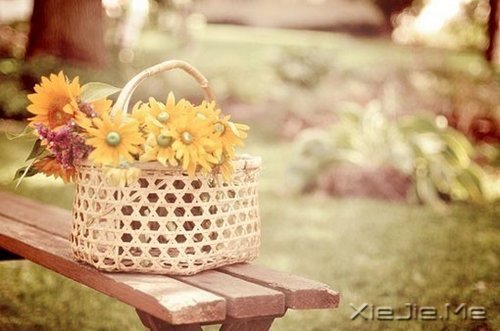 经过人生的荒凉,才能抵达内心的繁华 (6)