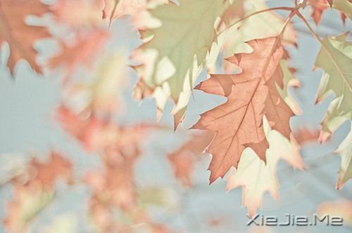 �簲�����һ���峺�İ׿�ˮ������ĸոպ� (10)