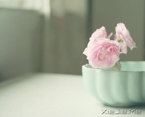 ���������õ��Ҹ�����������ں� (7)