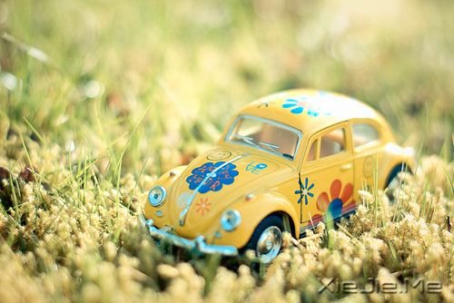 晚安心语:是逆境,让我们变得更坚强 (7)