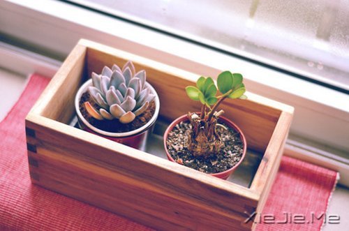 早安心语:不要让所有人都看到你的脆弱 (10)