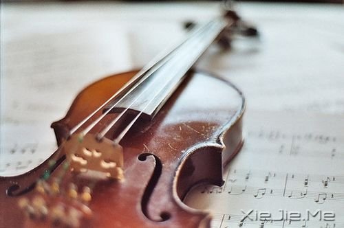 �簲�����ʱ��һ��ǳǳ�Ļ��� (9)