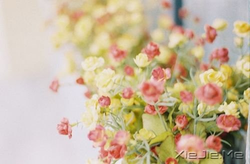 早安心语:童心未泯,是一件值得骄傲的事情 (7)