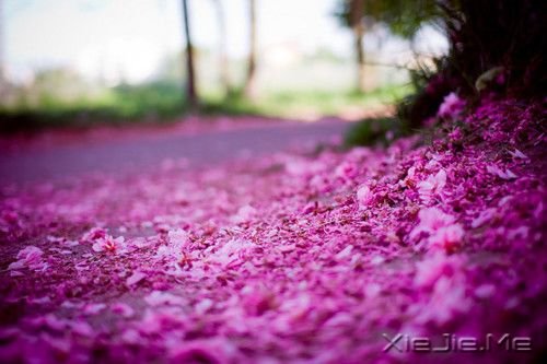 �簲������ķ��򣬸��ʺϷ��� (8)