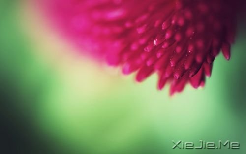 �簲������������������������������ (10)