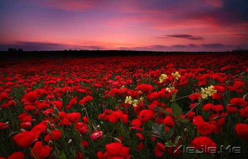 �簲���������¿࣬������ľ (7)