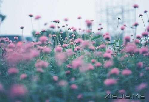 �簲�������ĺ�С����Ҫװ��̫������ (9)