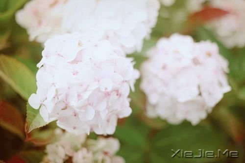 ��������������£�ԭ������ݵı��� (3)