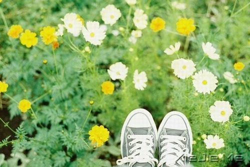 �������ѡ��һ����ȷ��·���ᶨ������ȥ (4)