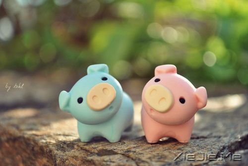 ��Щ��һת������һ����