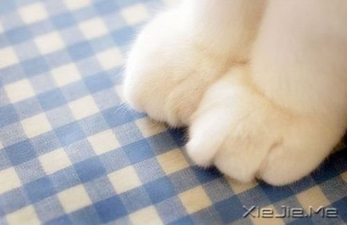 一辈子不长,活给自己看 (6) 小清新图片 (6)