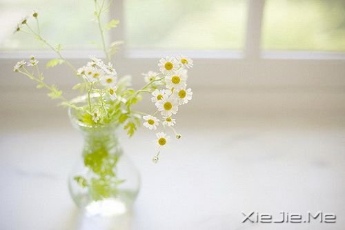 С����ͼƬ (3)