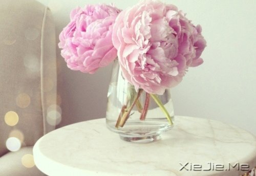 ����Ϊʲô���ų���