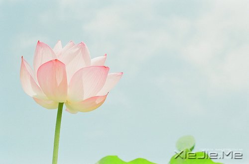 50��������������