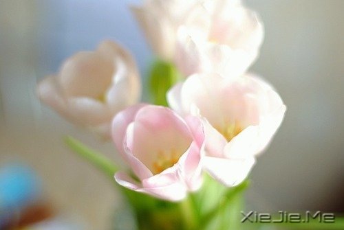 ������̨����