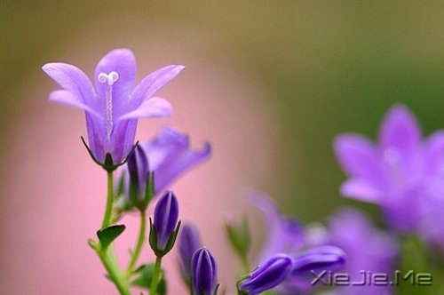 ������Ը�Ҳ�ܳɾ�ΰ�����ҵ