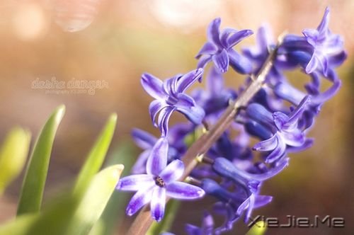 48��������������еľ������