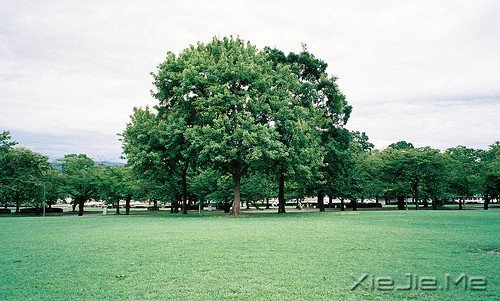 �ɹ���ʿ��22����ϰ��