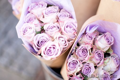 经典语录:只要适合自己,就是幸福 (15)