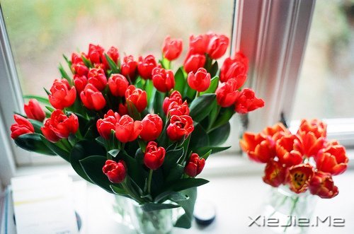 ������¼����ʲôҲ������������ (7)