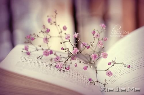 ���õĻ���ͼƬ (4)