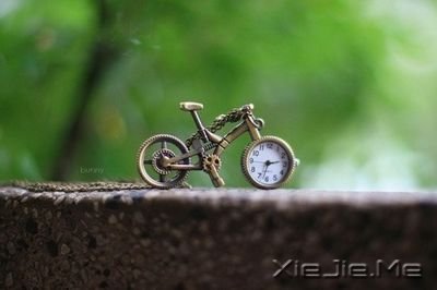 ֻ��������ڲ���֧���� (2)