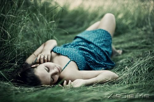 ������¸ң�˭�������ǿ (4)