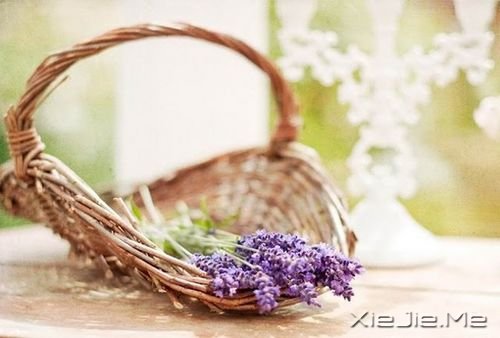 ��������Щ�򵥵�С�Ҹ� (1)