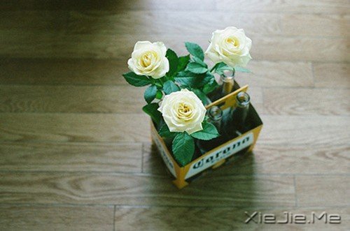 幸福它只有现在