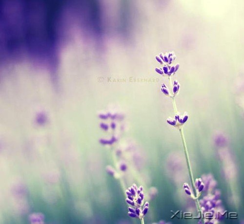 ������ʵҲд��ǰ����·